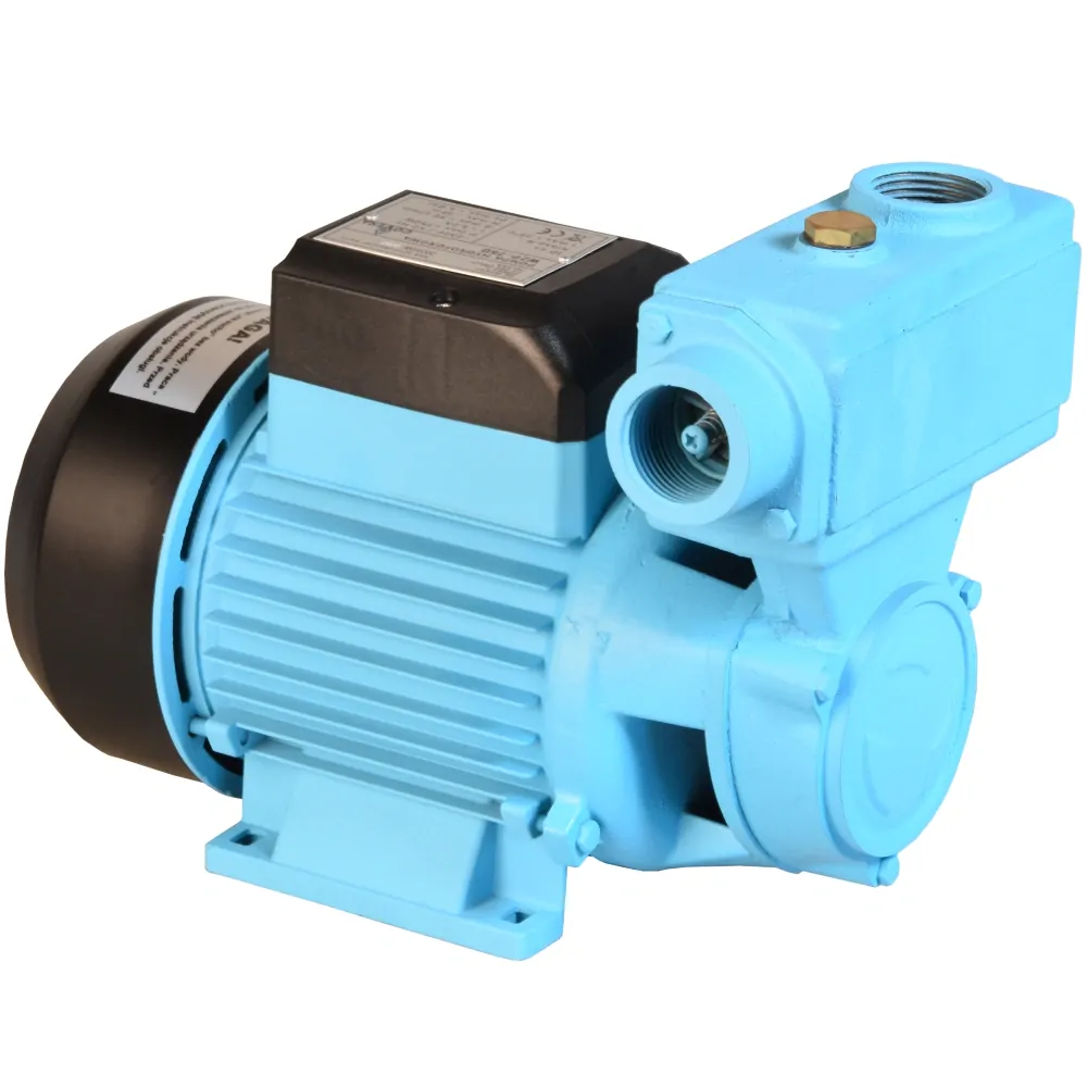 COVERA BG-K0004 Hydroforové čerpadlo 750W WZP 750