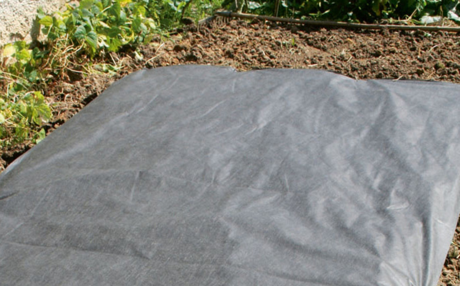 GEKO G73411 Mulčovací netkaná textilie zahradní plachta 50g 1,60x10m